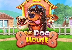 Jogar Dog House Bonanza com Dinheiro Real